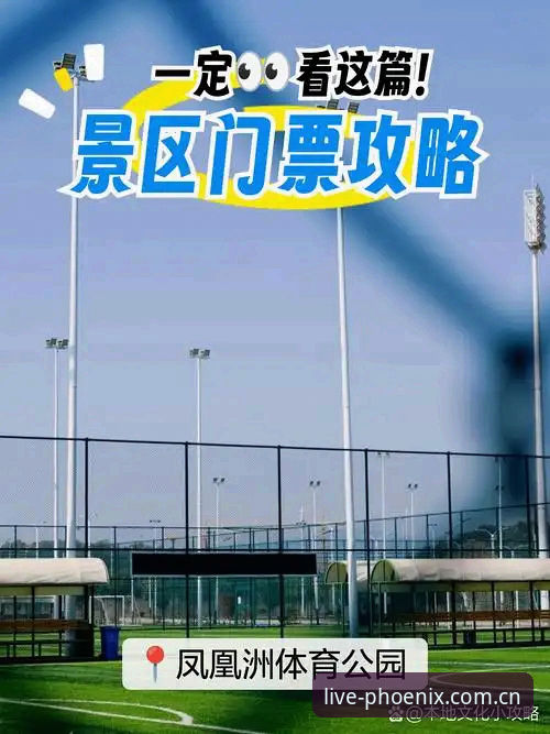 3个关键维度解析凤凰体育直播平台如何重塑观赛体验